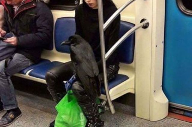 بالصور : أغرب الشخصيات والمواقف التي يمكن أن تقابلها في المترو 