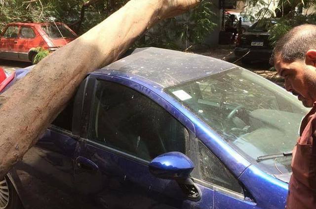 أعمال حفر لشركة انترنت تسبب سقوط شجرة على سيارة مواطن