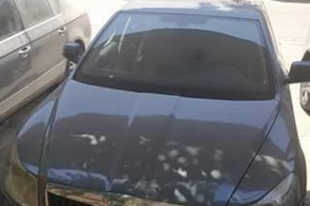 بالصور : أهم سيارات مزاد الشركة العربية للنقل والسياحة في 5 أغسطس