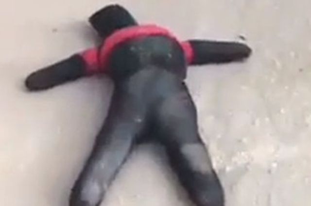 احذروا هذه الدمية السوداء علي الطرق !!