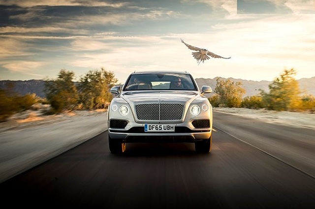  بنتلي Bentayga Falconry سيارة صيد الصقور