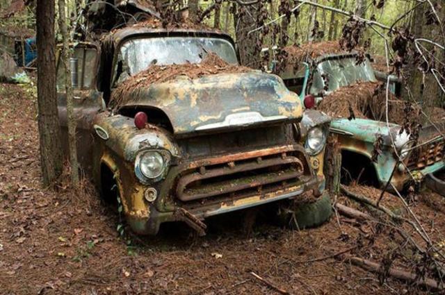 ليست من أفلام الخيال .. ''LINA'' سيارة من الكتان تتحلل وتموت