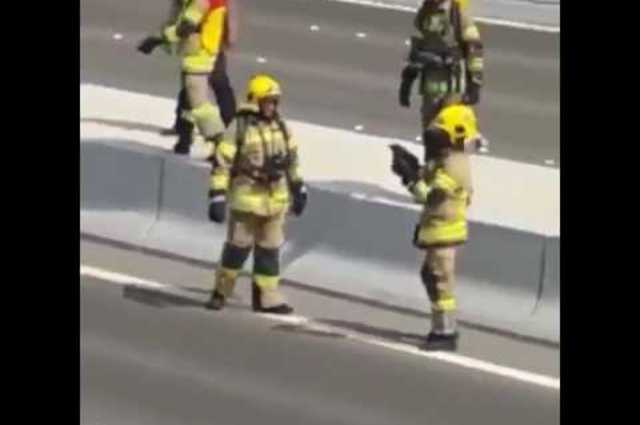 فى أبو ظبى : إيقاف حركة المرور من أجل قطة