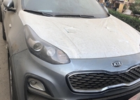 كيا سبورتاج 2022