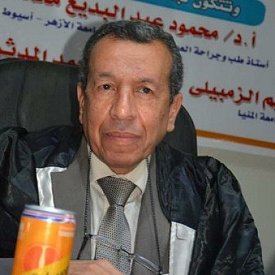  Mahmoud Abdel Badei